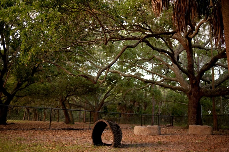 Al Lopez Dog Park preview 4